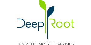 DeepRoot Consulting