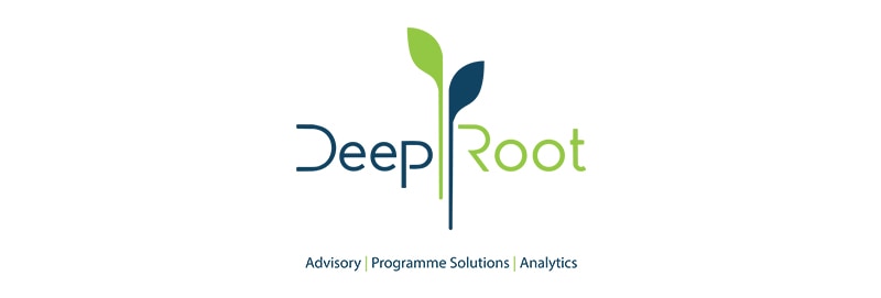 DeepRoot Consulting