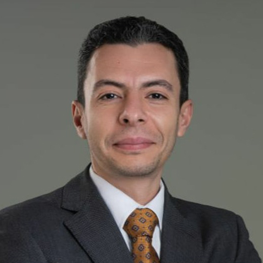 أحمد دهشان